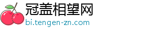 冠盖相望网